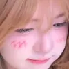 tnhi0448