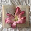 jood_19a