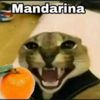ya_no_hay_sondas
