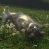 sahatskaya