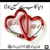 ashiq.ali582