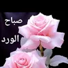 user7i5kqs1y4d