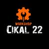 Workshop cikal22
