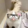 yellow_l71
