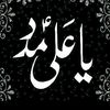 tahir.843