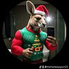 thefrankelysport22