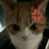 srestha_7