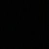 shengelia_11