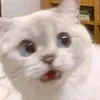 tzyurkng