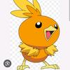 i_luv_torchic