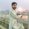 shamrezjani2