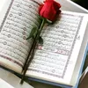bnoo_858