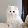 rachida123594