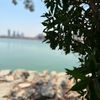 alshmry_222
