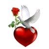user341307203177