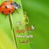user810472579819