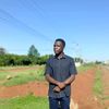 brandon07480