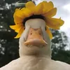 userc5amyc0bip
