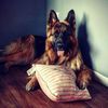 william_brante78