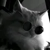 k_i_y_o_s_h_i3