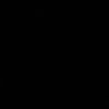 bissann221