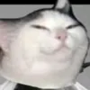 peter_9.3