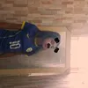 antonia_lima69863
