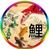 koiko4468