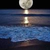 user46cjzdxjhy