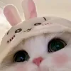 yokpasss