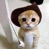user._.37392r2
