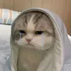 cosplaylqmb