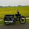 astrea_sabitbapak