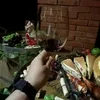 userqna9vzhqrb