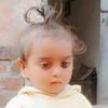 tariqmughal512