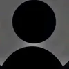 313_______66