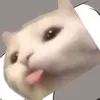 kenshinsatoru365