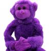 mrpurplemonke