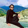 salahuddin8756