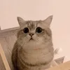 ﮼يناير