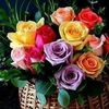 alhawmaram