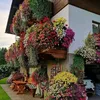 lazarocarmo819
