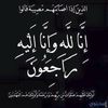 omyosefahmed947