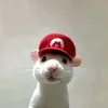 oway_ngct