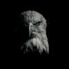unknown001779