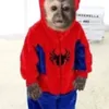 miqueefa