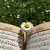 dr_amna85