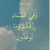 tahani.mohmed3