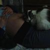miau2028