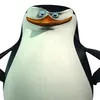 luca_van_henten